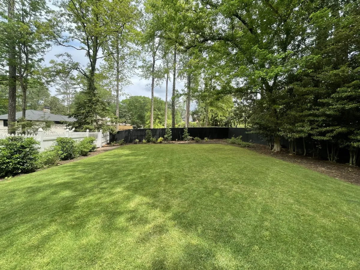 Mowed backyard lawn with crisp lines against a privacy fence